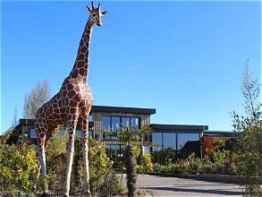 Colchester Zoo
