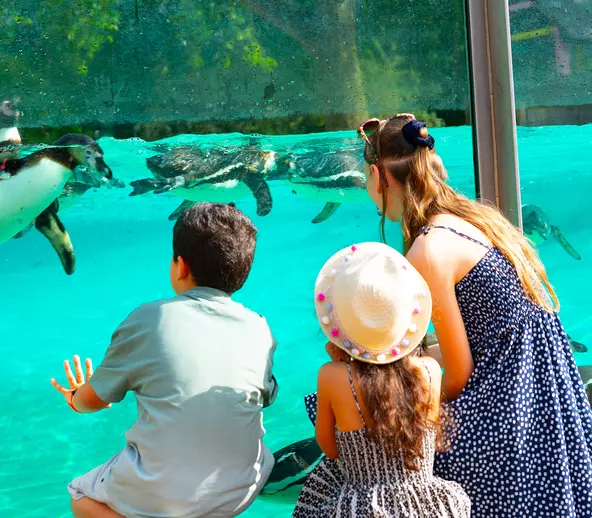 London Zoo and shopping Family Day